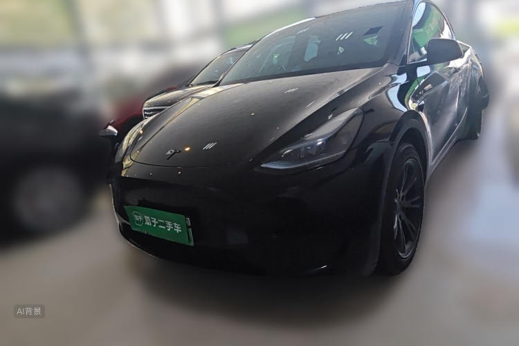 Tesla Model Y 2023 #2 Tesla Model Y 2023 car image #2