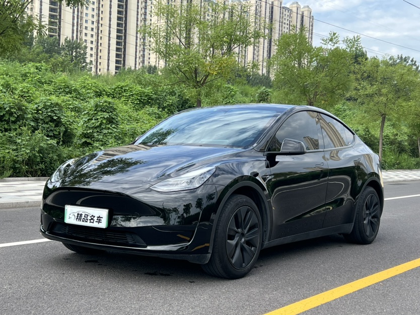 Tesla Model Y 2023 Tesla Model Y 2023 car image