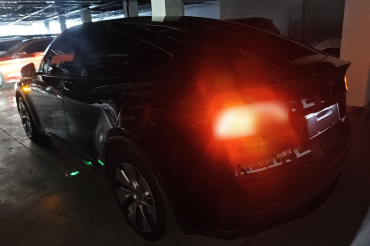 Tesla Model Y 2022 immagine di auto #5