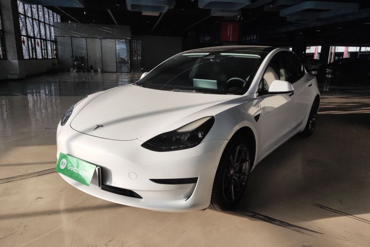 Tesla Model 3 2021 #2 Tesla Model 3 2021 car image #2