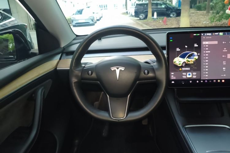 Tesla Model Y 2023 #11 Tesla Model Y 2023 car image #11