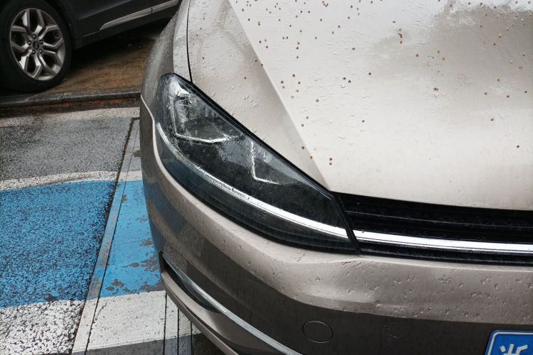 Volkswagen Golf 2020 car image #8