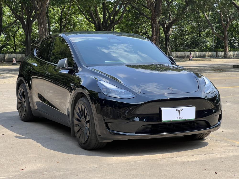 Tesla Model Y 2024 car image #3
