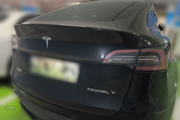 Tesla Model Y 2021 #6 Tesla Model Y 2021 car image #6