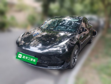 Tesla Model 3 2021 car image 
