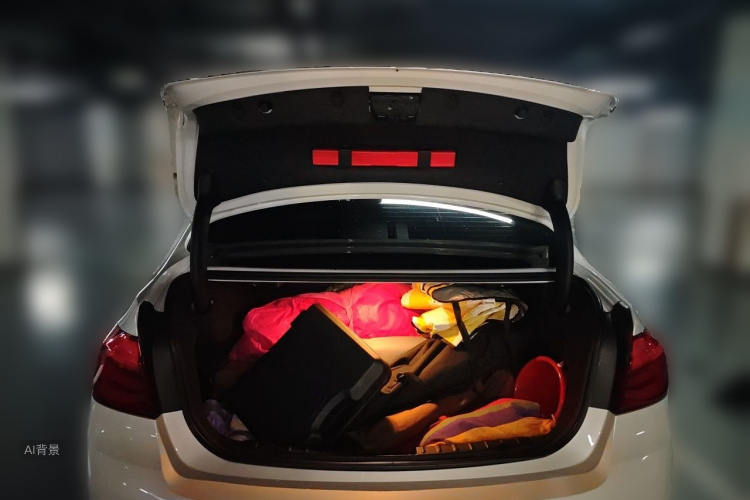 BMW 3 Series 2019 car image #21
