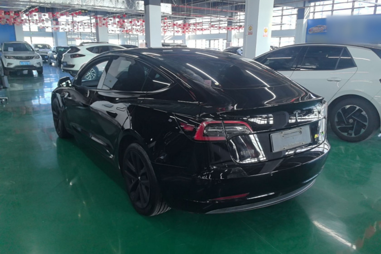 Tesla Model 3 2023 imagem de carro #5