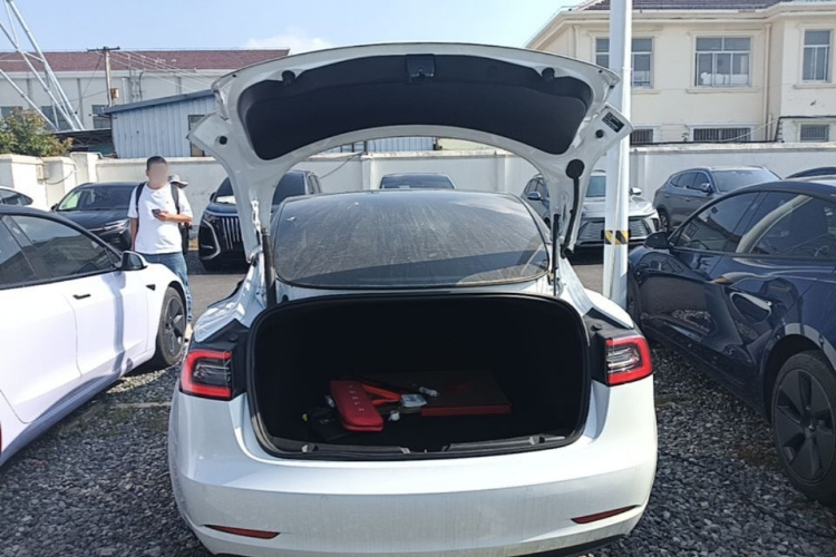 Tesla Model 3 2021 car image #19
