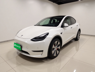 Tesla Model Y 2021 Tesla Model Y 2021 car image