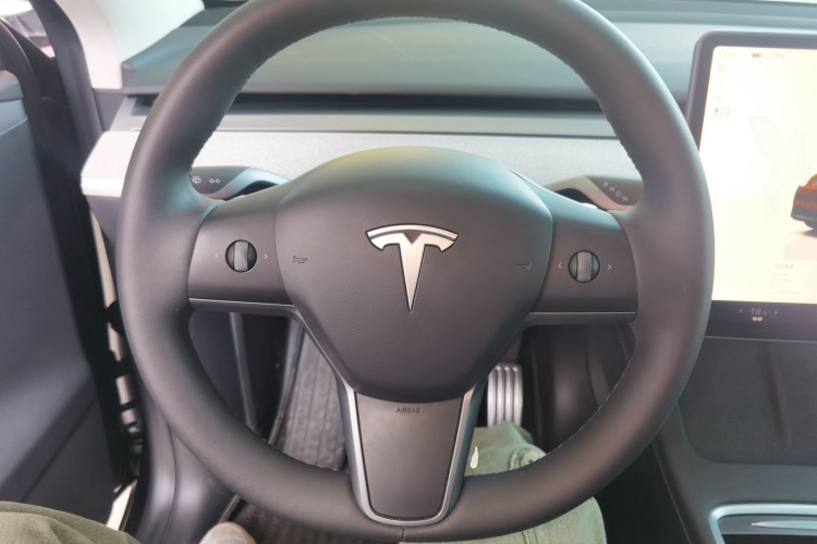 Tesla Model Y 2024 car image #15