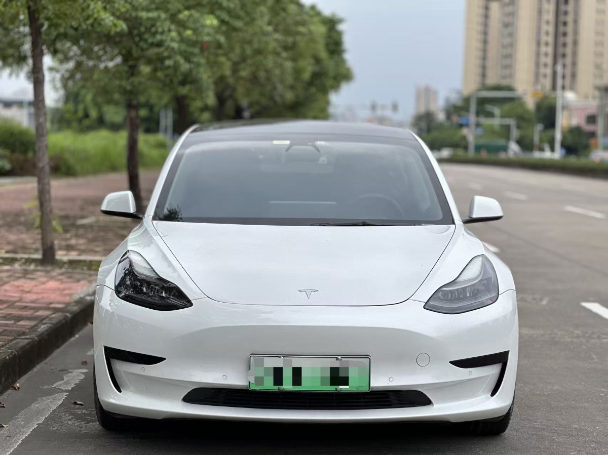Tesla Model 3 2021 #2 Tesla Model 3 2021 car image #2