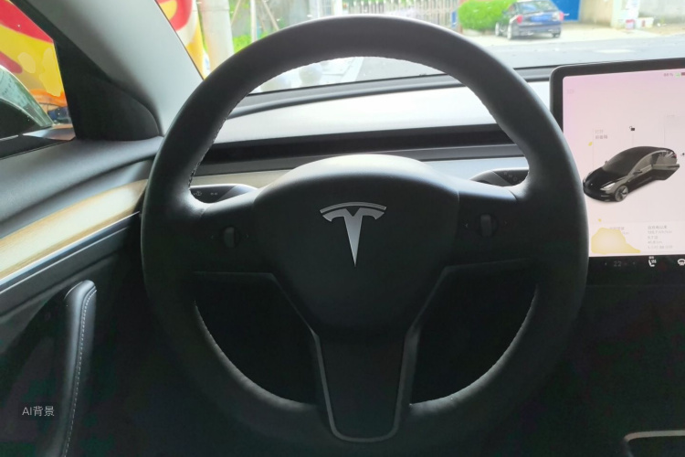 Tesla Model 3 2021 car image #12