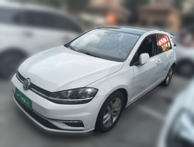 Volkswagen Golf 2019 car image 