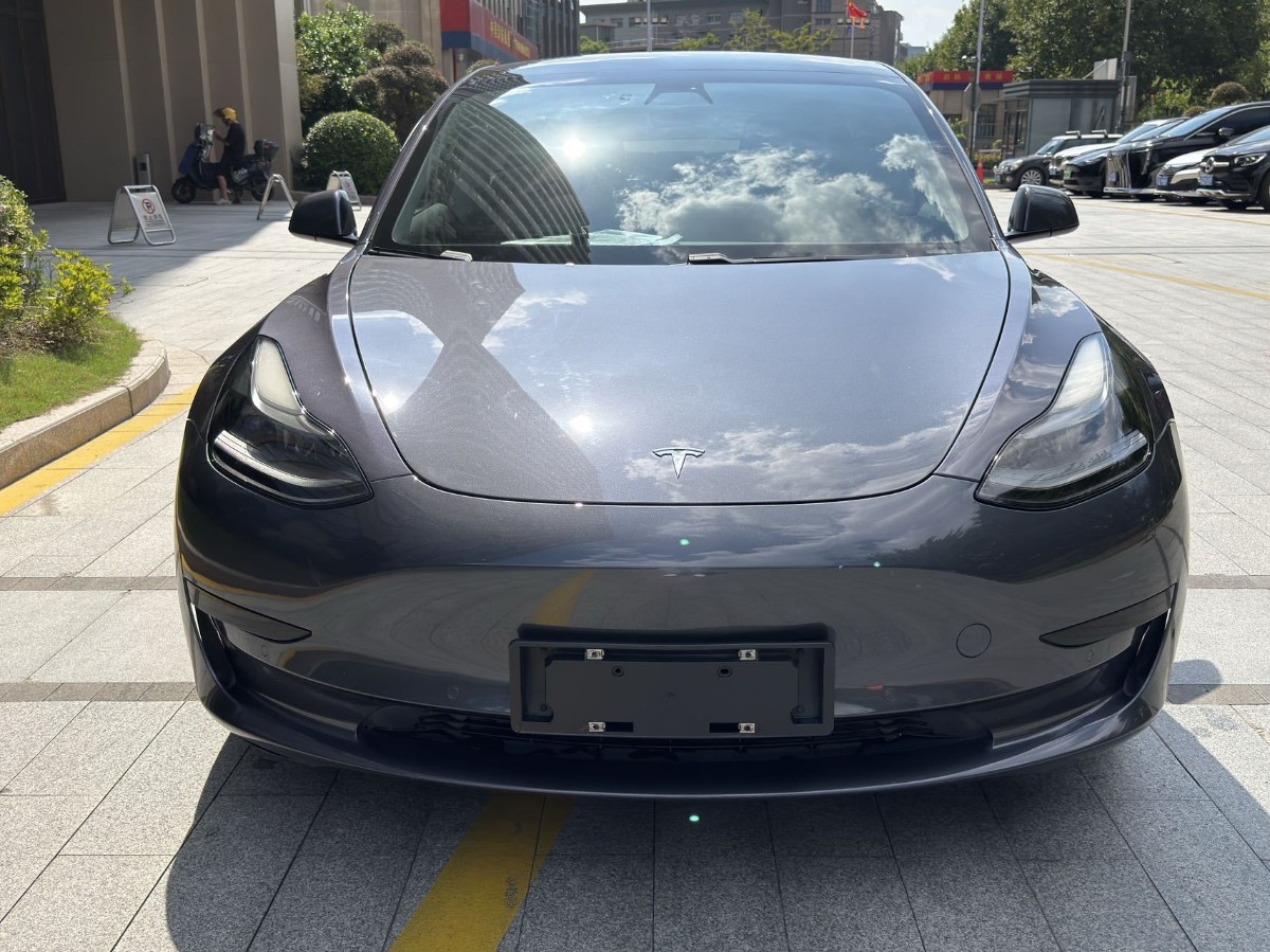 Tesla Model 3 2021 #2 Tesla Model 3 2021 car image #2
