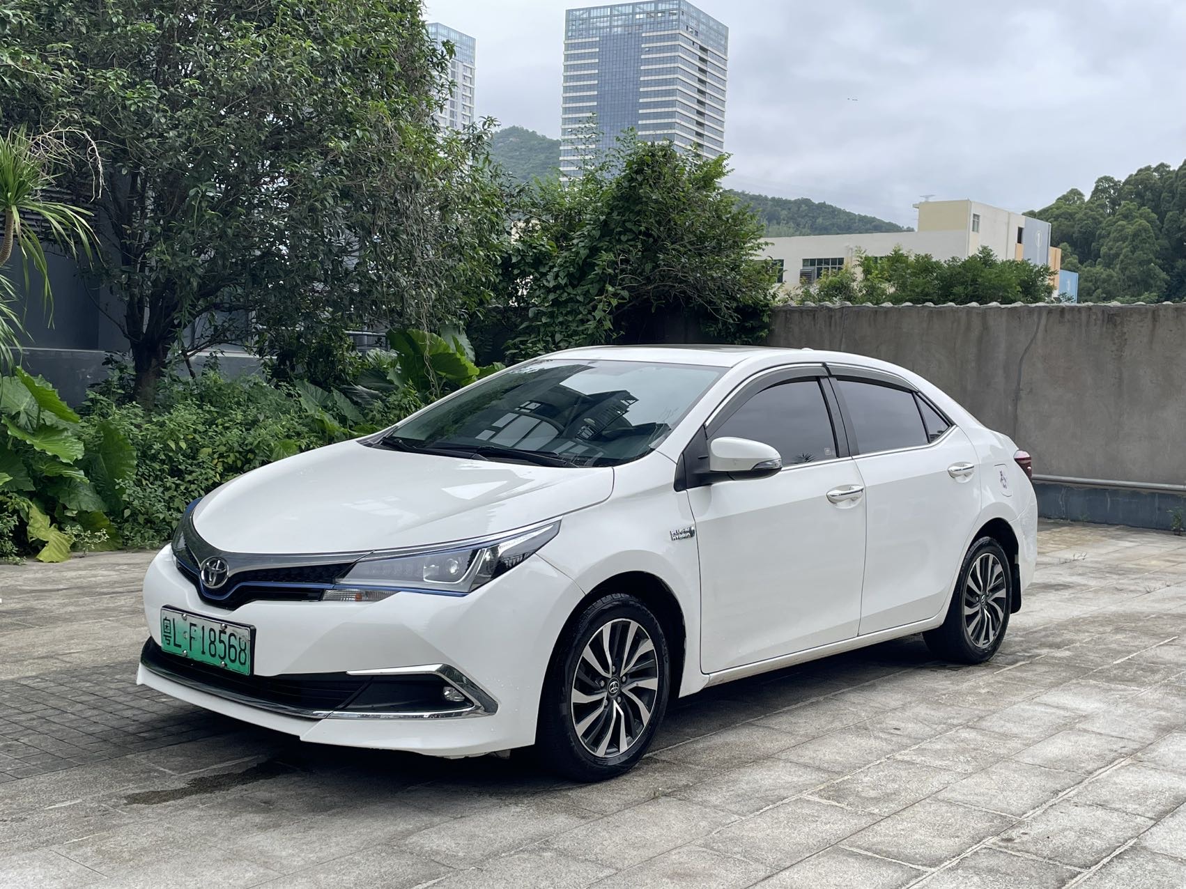 Toyota Corolla Hybird E+ 2020 immagine di auto 