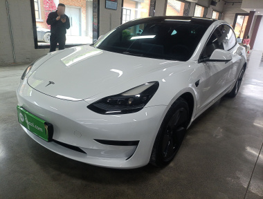 Tesla Model 3 2023 car image 