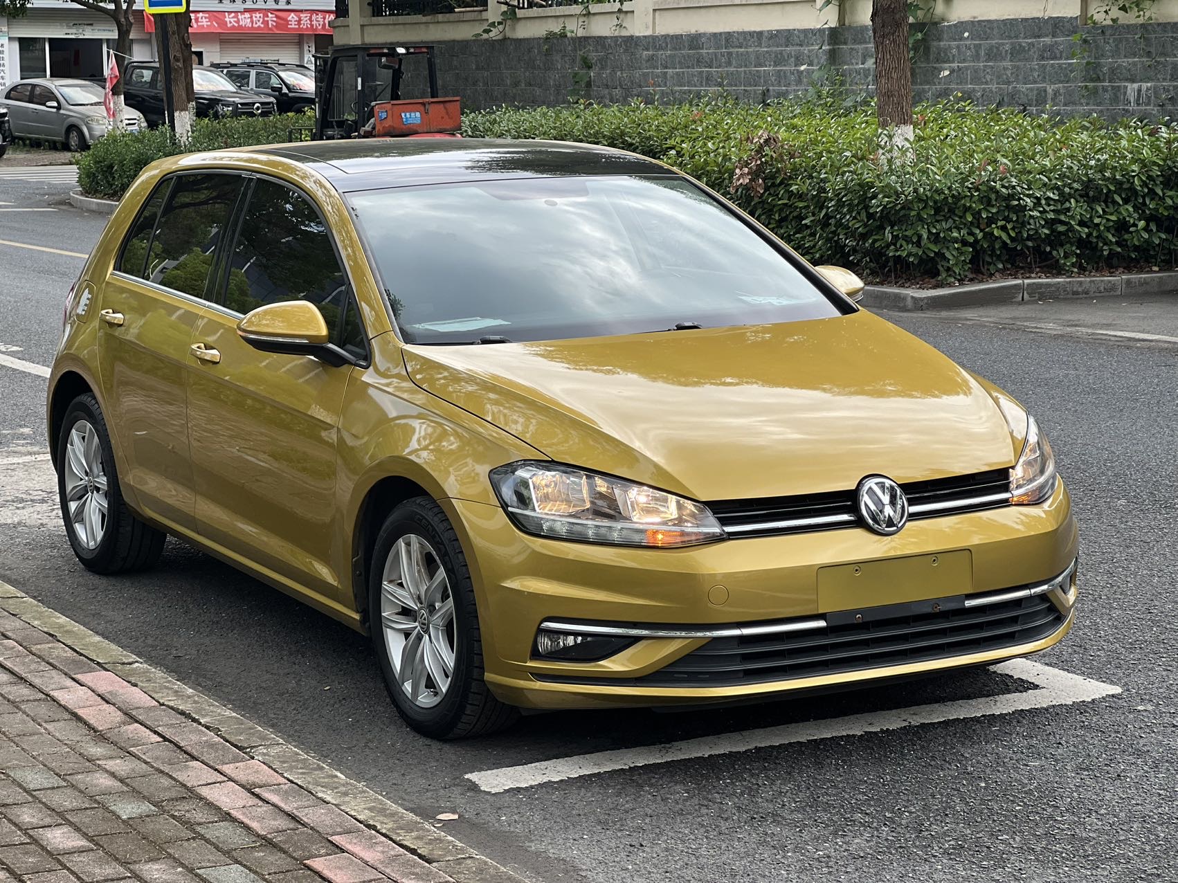 Volkswagen Golf 2018 Volkswagen Golf 2018 car image