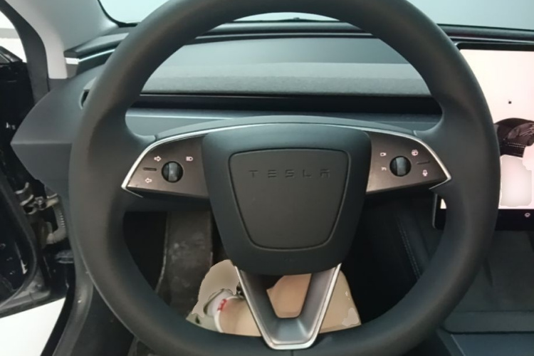 Tesla Model 3 2024 immagine di auto #11