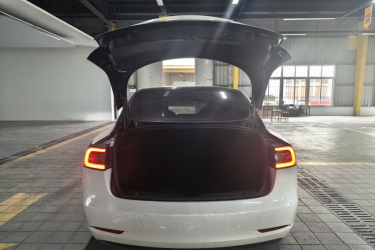 Tesla Model 3 2021 #19 Tesla Model 3 2021 car image #19