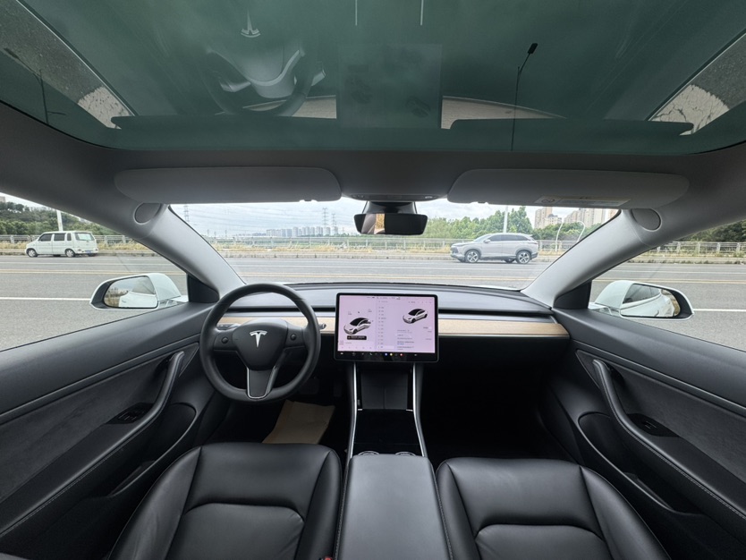 Tesla Model 3 2020 car image #6