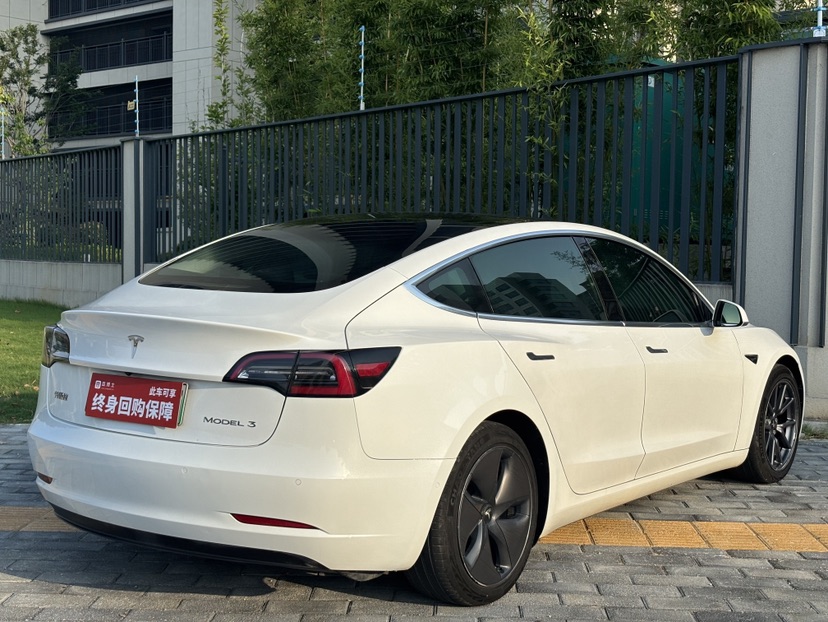 Tesla Model 3 2020 #7 Tesla Model 3 2020 car image #7