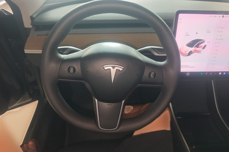 Tesla Model 3 2020 #11 Tesla Model 3 2020 car image #11