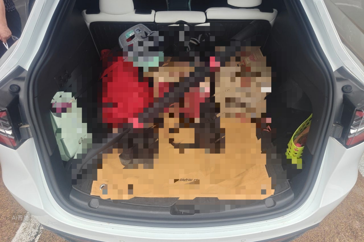 Tesla Model Y 2022 car image #21