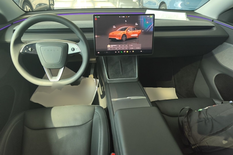 Tesla Model Y 2025 car image #10