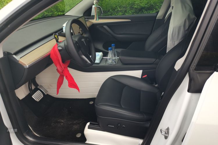 Tesla Model Y 2022 car image #17