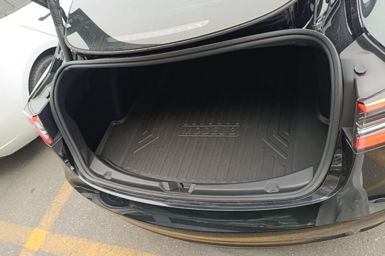 Tesla Model 3 2023 car image #19