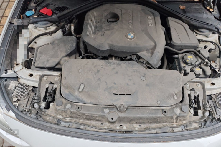 BMW 3 Series GT 2017 car image #22