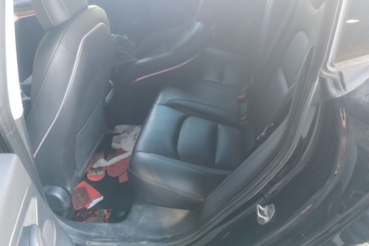 Tesla Model 3 2022 car image #17