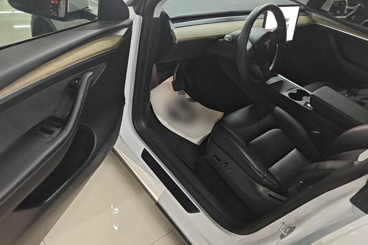 Tesla Model Y 2023 car image #16
