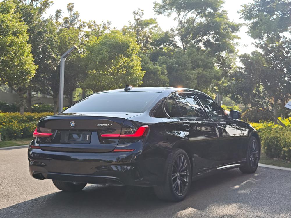 BMW 3 Series 2020 car image #6