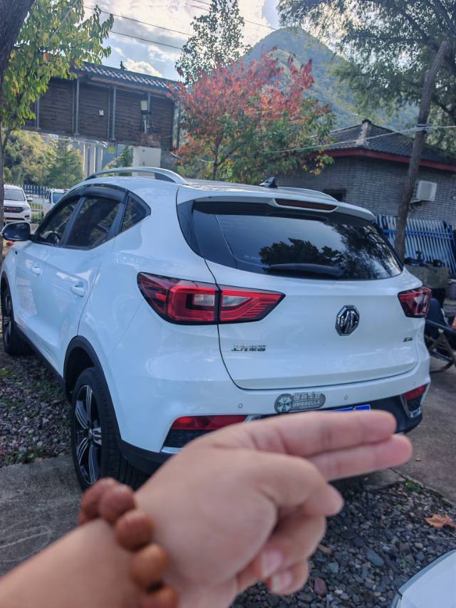 MG ZS 2019 #6 MG ZS 2019 car image #6