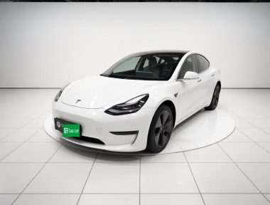 Tesla Model 3 2020 Tesla Model 3 2020 car image