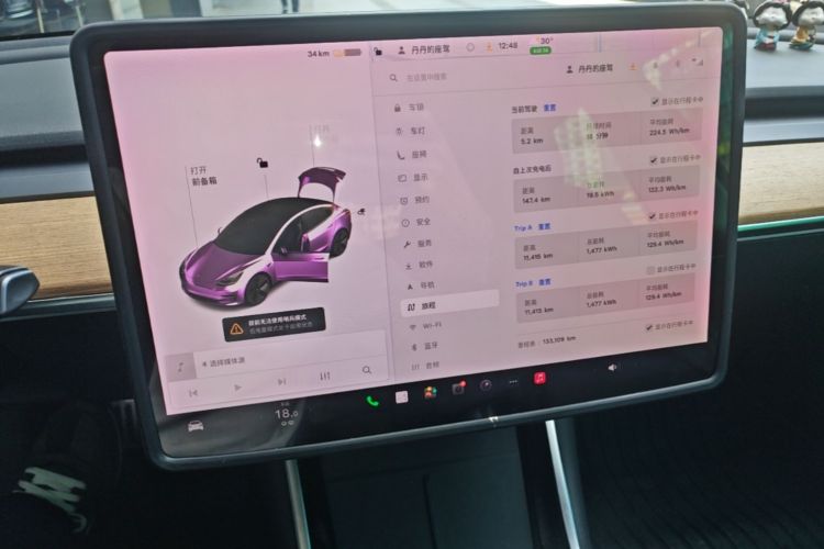 Tesla Model 3 2020 car image #13