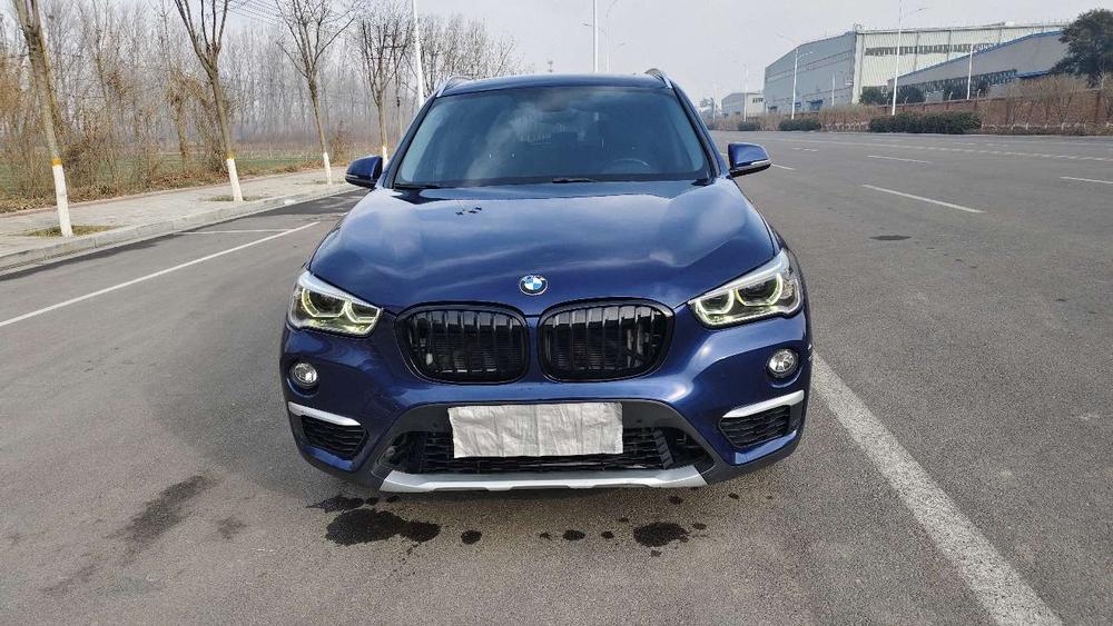 BMW X1 New Energy 2019 car image #2