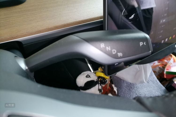 Tesla Model 3 2020 car image #16