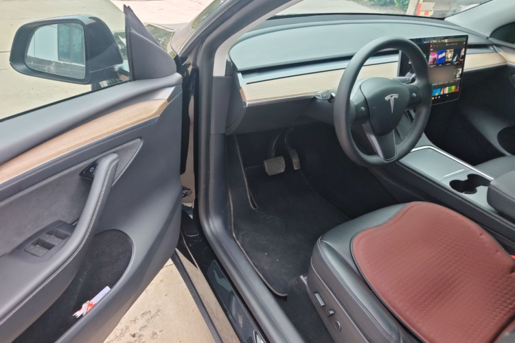 Tesla Model Y 2021 car image #12
