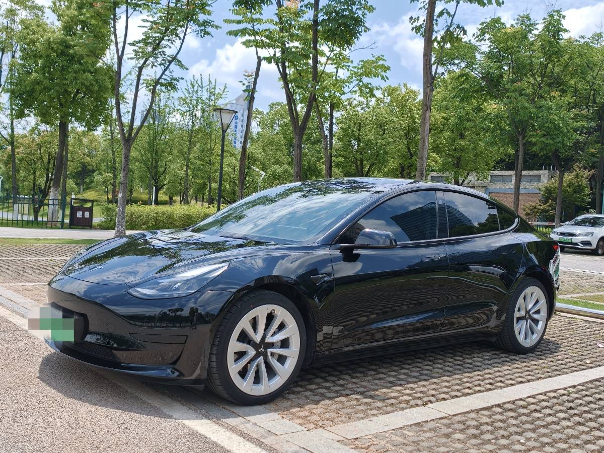 Tesla Model 3 2022 car image 