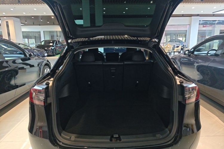 Tesla Model Y 2022 car image #19