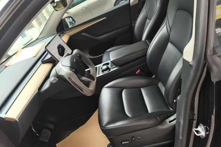 Tesla Model Y 2023 car image #15