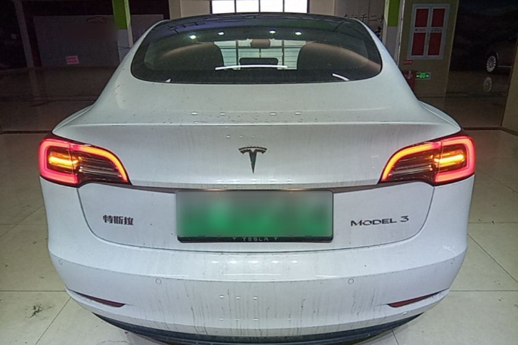 Tesla Model 3 2021 car image #6