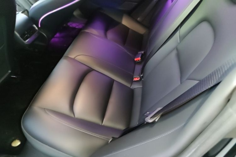 Tesla Model 3 2023 car image #17