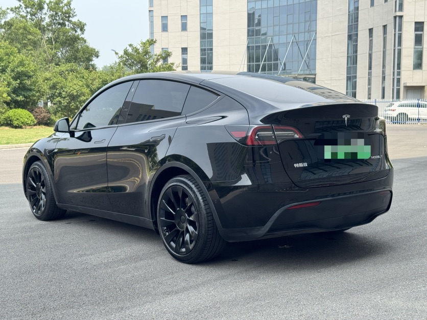 Tesla Model Y 2021 car image #6