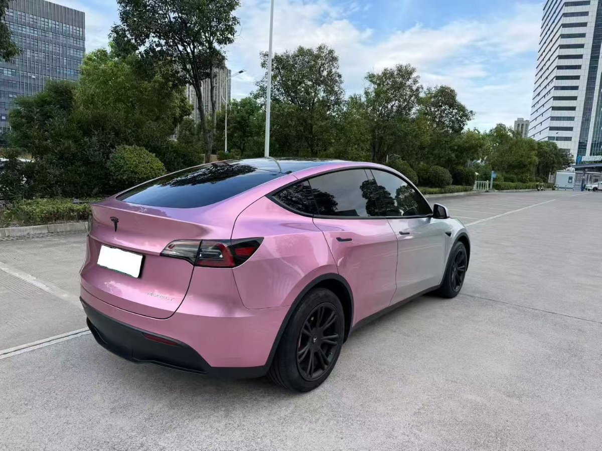 Tesla Model Y 2023 #9 Tesla Model Y 2023 car image #9