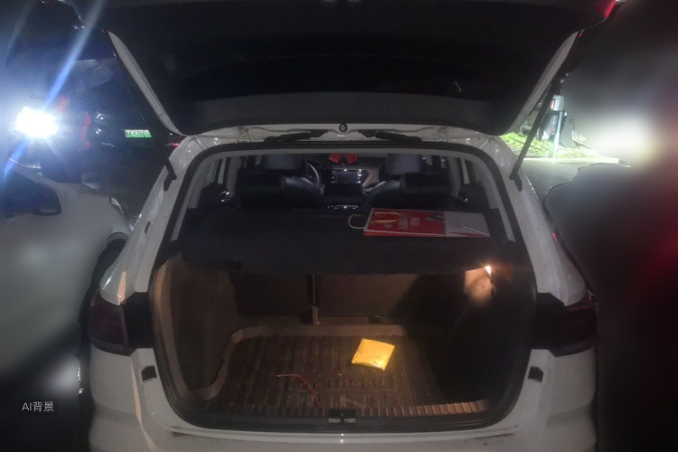 2020 #21 2020 car image #21