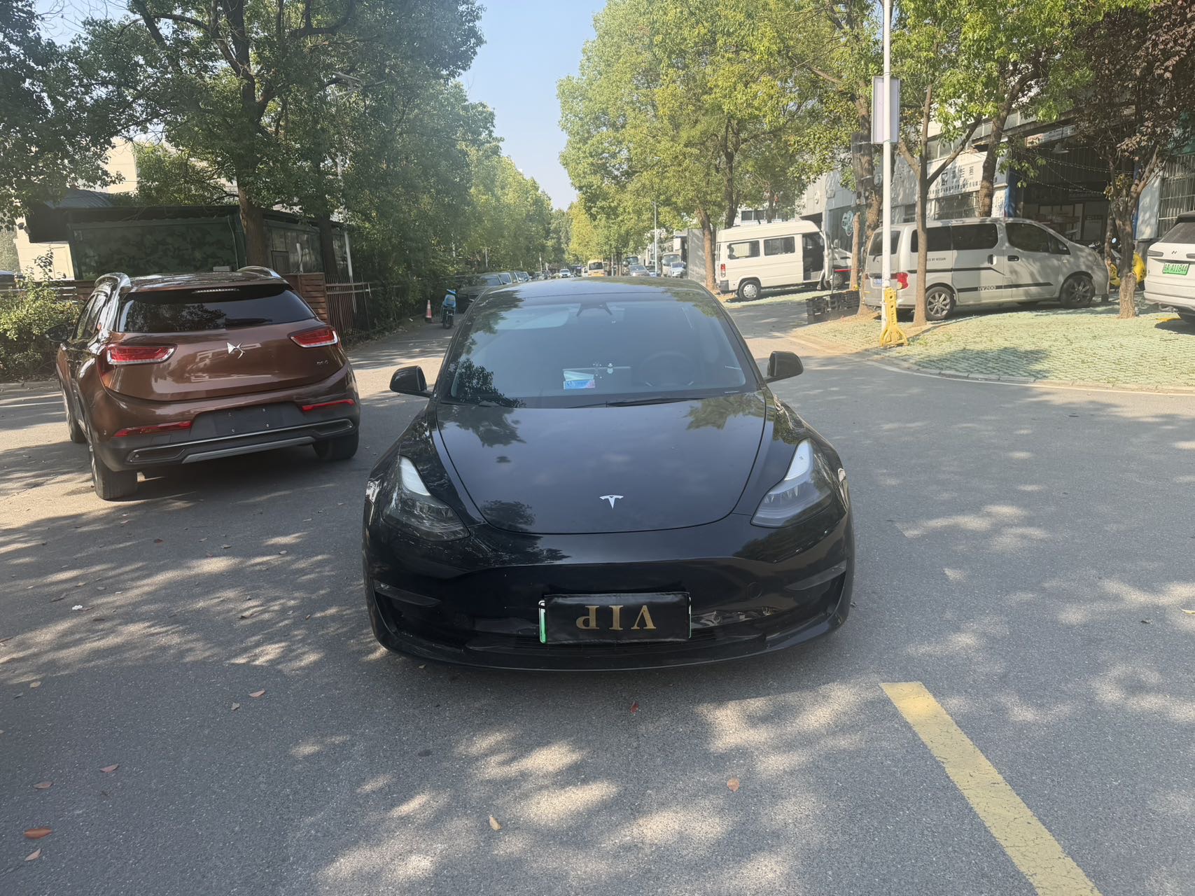 Tesla Model 3 2022 imagem de carro #2