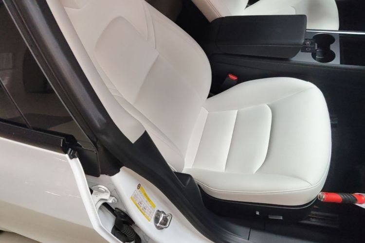 Tesla Model 3 2021 car image #24
